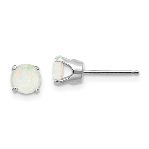 14k-white-gold-5mm-opal-stud-earrings-SolomonJeweler-Wichita-KS-CustomJewelry