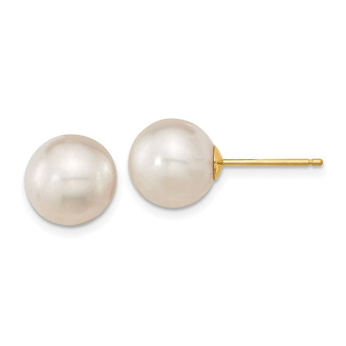 14k-10-11mm-white-round-saltwater-cultured-south-sea-pearl-post-earrings-SolomonJeweler-Wichita-KS-CustomJewelry