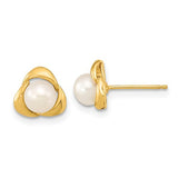 14k-5-6mm-white-button-freshwater-cultured-pearl-post-earrings-SolomonJeweler-Wichita-KS-CustomJewelry
