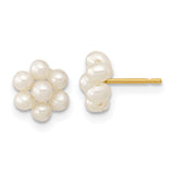 14k-2-3mm-white-button-freshwater-cultured-pearl-flower-earrings-SolomonJeweler-Wichita-KS-CustomJewelry