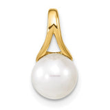14k-7-8mm-white-freshwater-cultured-pearl-polished-pendant-SolomonJeweler-Wichita-KS-CustomJewelry