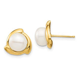 14k-7-8mm-white-button-freshwater-cultured-pearl-post-earrings-SolomonJeweler-Wichita-KS-CustomJewelry
