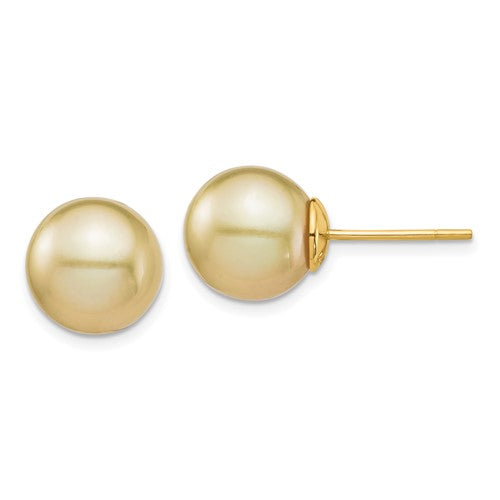 14k-10-11mm-golden-round-saltwater-cultured-south-sea-pearl-post-earrings-SolomonJeweler-Wichita-KS-CustomJewelry