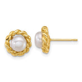 14k-polished-5-6mm-button-freshwater-cultured-pearl-post-earrings-SolomonJeweler-Wichita-KS-CustomJewelry