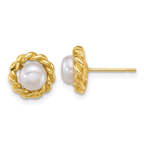 14k-polished-5-6mm-button-freshwater-cultured-pearl-post-earrings-SolomonJeweler-Wichita-KS-CustomJewelry