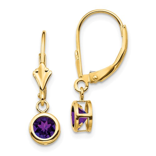 14k-5mm-amethyst-leverback-earring-SolomonJeweler-Wichita-KS-CustomJewelry