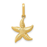 14k-textured-hollow-starfish-pendant-SolomonJeweler-Wichita-KS-CustomJewelry