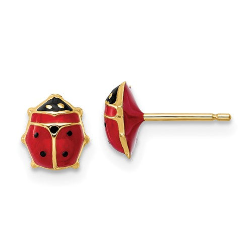 14k-polished-enameled-medium-ladybug-post-earrings-SolomonJeweler-Wichita-KS-CustomJewelry