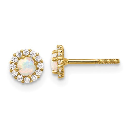 14k-polished-cz-and-created-opal-circle-screwback-post-earrings-SolomonJeweler-Wichita-KS-CustomJewelry