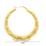 Yellow gold bamboo hoop earrings from Solomon Jewelers in Wichita, Kansas