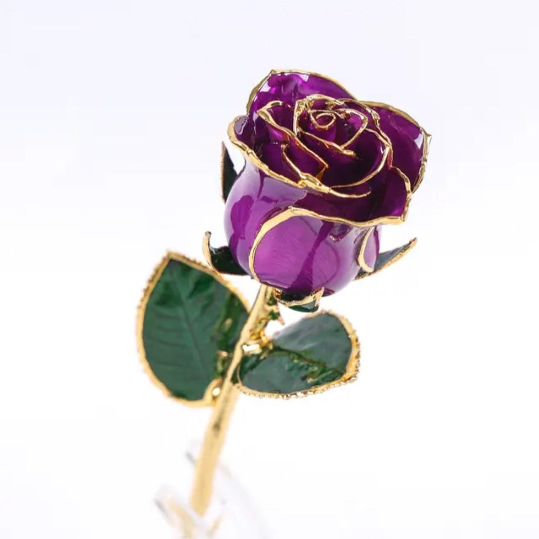 Gold-plated real rose flower in purple – Solomon Jeweler