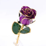 Gold-plated real rose flower in purple – Solomon Jeweler