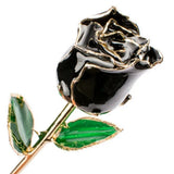 Gold-plated real rose flower in black – Solomon Jeweler