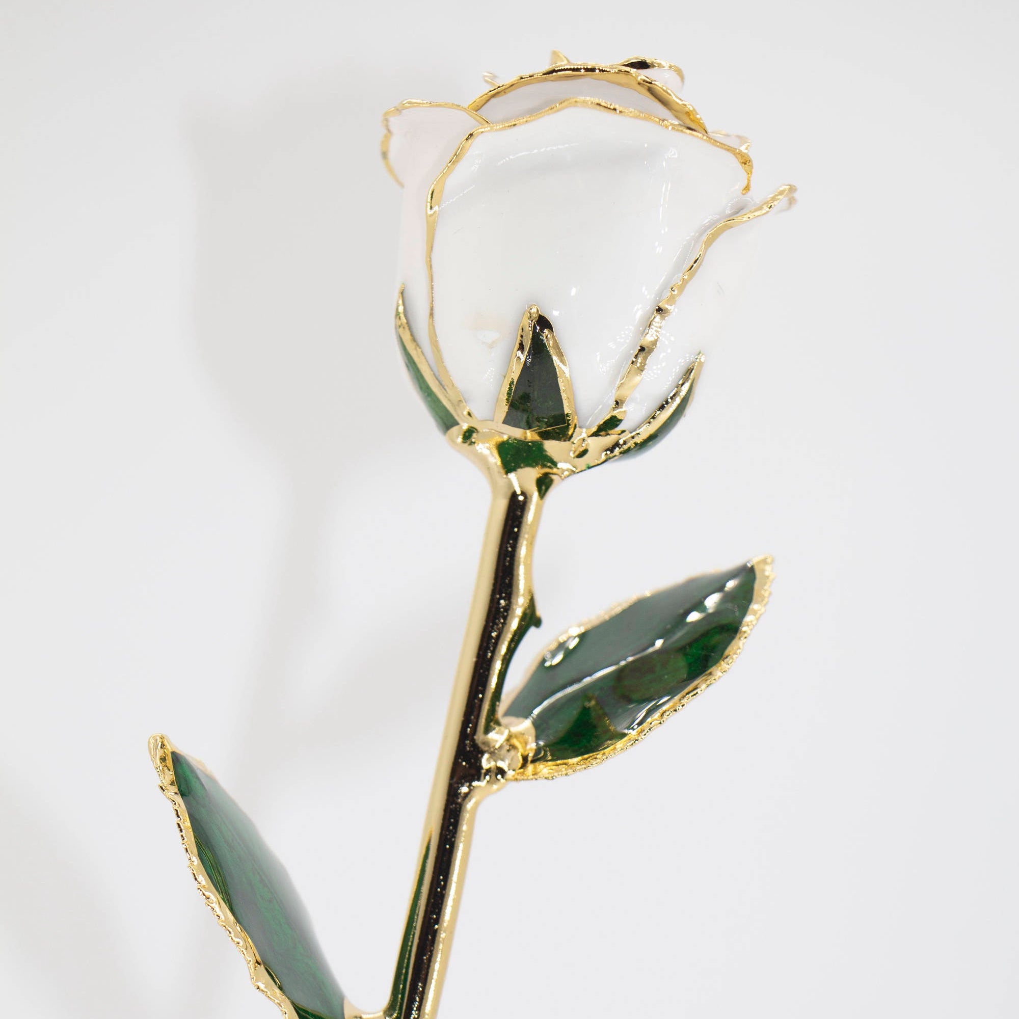Gold plated white flower 