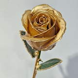 Gold-plated real rose flower in gold – Solomon Jeweler